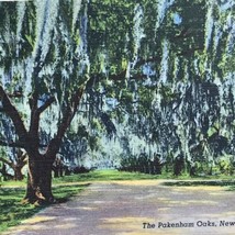 The Pakenham Oaks Postcard Linen Vintage New Orleans USA Louisiana - £9.68 GBP