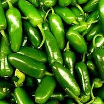 Jalapeno Pepper Seeds - Organic, Heirloom Seeds. About 5,000 On The Scov... - $8.98