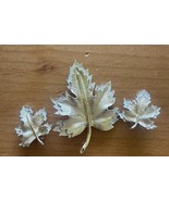 VTG Sarah Coventry Golden Maple Leaf Brooch Pin Clipon Earring Set 60s C... - $30.50 CAD