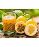 SKM Yellow Passion Fruit Sweet Granadilla Passiflora Ligularis 30 Seeds ... - $17.79 CAD