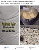 150 Bags Of Mushroom Yellow Popcorn Kernels  (similar To Magic Or Monster) - $3,000.00
