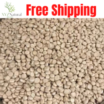 Bitter &amp; sweet lupin lupini beans lupine Lupinus Alba Seeds ترمس حلو او مر - £9.18 GBP+