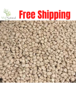 Bitter &amp; sweet lupin lupini beans lupine Lupinus Alba Seeds ترمس حلو او مر - $12.22+