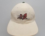 Starter Buffalo Bisons The Right Hat Cap Minor League Baseball - Read - £35.53 GBP
