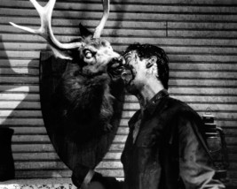 Bruce Campbell C 16x20 Poster Deer&#39;s Head - £15.97 GBP