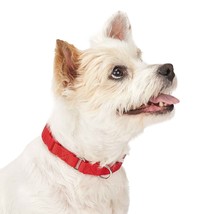 14&quot; to 20&quot; Red Quick Release Martingale Dog Collar Bulk Packs Shelter Re... - £133.68 GBP+