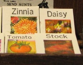 Seed packets close up 2 thumb200