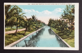 Drive &amp; Tropical Foliage Along Florida Canal Palm Trees FL UNP Postcard c1930s - £4.01 GBP