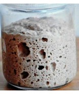 San Francisco SOURDOUGH live dried YEAST Purely Organic wharf FRESH BATC... - $144.29 MXN