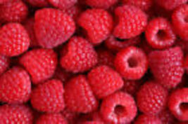 20 Red Raspberry Seeds Free Usa Shipping - £2.38 GBP