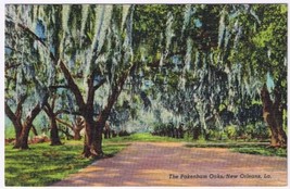 Postcard The Pakenham Oaks New Orleans Louisiana - $2.96