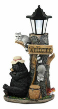 Summer Naps Lazy Bear With Raccoon Friends Welcome Sign Statue With Solar Light - £67.93 GBP