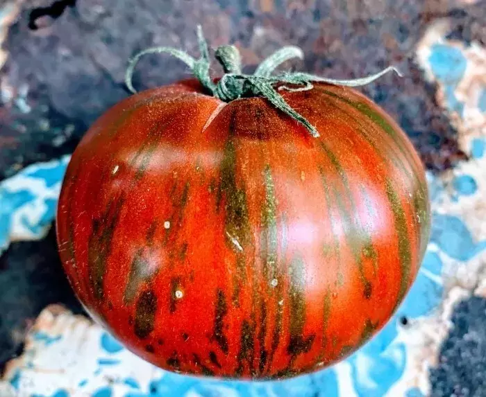 AW 10 Seeds Vintage Wine Striped Tomato Beefsteak Easy To Grow - £7.09 GBP