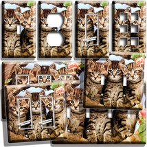 Cute Vintage Tabby Kitty Cat Kittens Light Switch Outlet Wall Plate Pet Shop Art - £14.14 GBP+