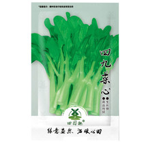 3600Pcs Seeds Asian Yu Choy Choi Sum Choy Sum Chinese Flowering Cabbage Garden - £4.88 GBP