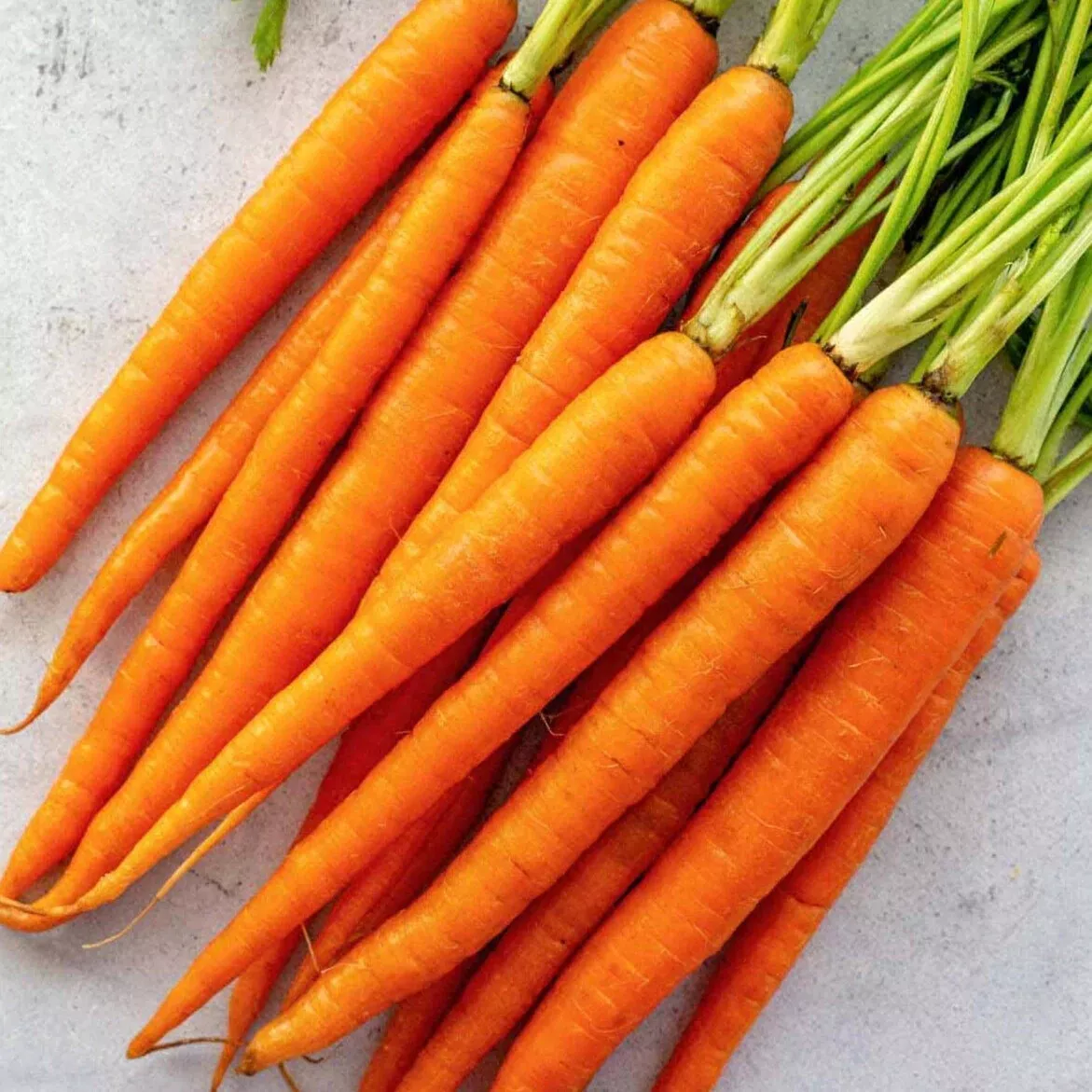 600 Imperator Carrot Seeds NON-GMO - $5.50