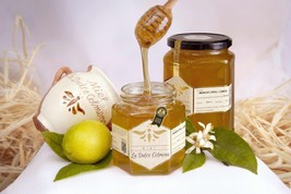Handmade lemon honey 500 grams National Queen Award box of four units - £36.27 GBP