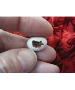 (O-590-40) Orange red Mexican fire opal stone in matrix gemstone opals s... - €15,24 EUR