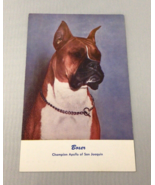 Boxer Dog Standard Arts Vintage Postcard - £3.89 GBP