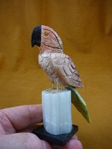 (Y-BIR-PA-415) PARROT Red pink Green Macaw bird gemstone STONE GEM carvi... - £22.08 GBP