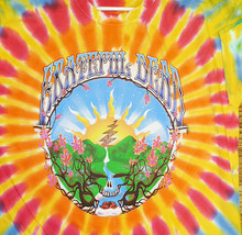 Grateful Dead Sunshine Daydream Tie Dye Shirt       XL  M - $31.99