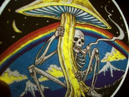 Grateful Dead Decal Original 1980s Car Window Sticker Skeleton Mushroom Moon - £12.96 GBP