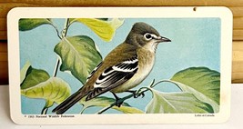 Vintage Songbird Trading Card Least Flycatcher 1963 S9N11 Brooke Bond Te... - $16.98