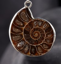 Ammonite pendant Emotional balance and stability  Protection #7542 - $796.38 MXN