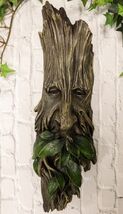 Ebros Celtic Greenman Enigma Face Wall Hanging Sculpture Decor 15&quot; High - $44.99