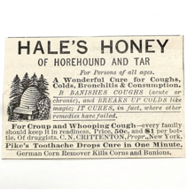 Antique 1884 Hale&#39;s Honey Horehound Quack Medical Advertisement Ephemera - £12.99 GBP