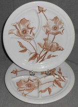 1949 Set (2) Iroquois Restaurant China Tri Divided Brown Florals Grill Plates - £39.14 GBP