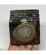 510g, 2.9&quot; x 2.8&quot; x 2&quot; Fossils Orthoceras Ammonite Business Card Holder,... - £10.98 GBP