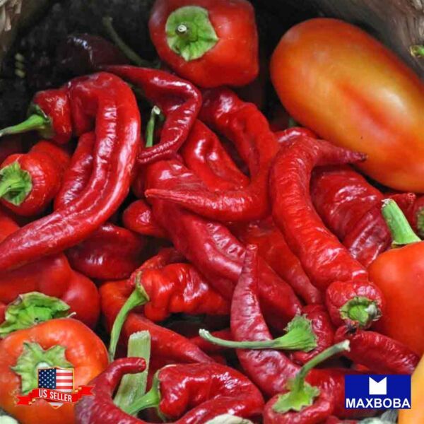 20 Sweet Jimmy Nardello Pepper Seeds Heirloom Vegetable Non Gmo Home Garden