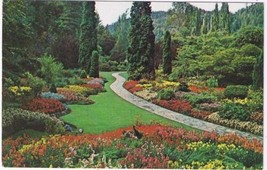 British Columbia Postcard Sunken Gardens Limestone Quarry Pyramital Arborvitae - £2.33 GBP