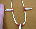 (W30-13) 1-5/8&quot; real COYOTE wild dog T**th water buffalo bead NECKLACE - $42.06