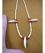 (W30-13) 1-5/8&quot; real COYOTE wild dog T**th water buffalo bead NECKLACE - $42.06