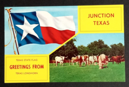 Greetings from Junction Texas Split View Longhorn State Flag TX Postcard c1970s - £7.17 GBP