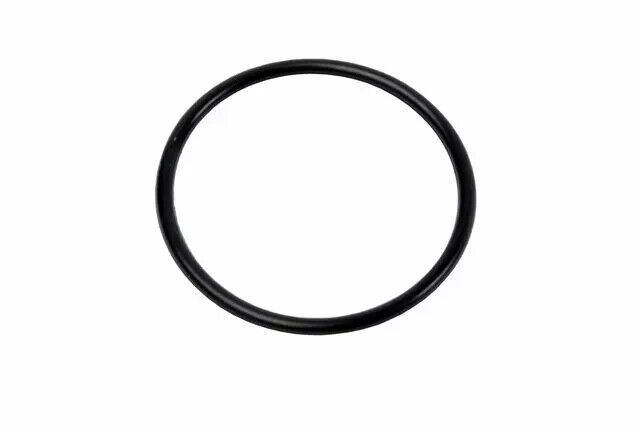2010-2024 GM FUEL PUMP HOUSING SEAL O-RING NEW GENUINE OEM PART 12602379 - $7.91