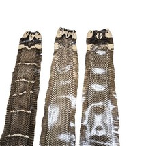 Asia Cobra Snake Skin w/ Hood Mark Snakeskin Hide Leather without Hole D... - $20.79+