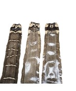 Asia Cobra Snake Skin w/ Hood Mark Snakeskin Hide Leather without Hole D... - $20.79+