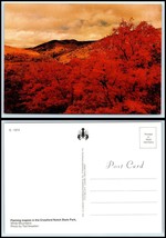 NEW HAMPSHIRE Postcard - Crawford Notch State Park, Flaming Maples in Autumn GG5 - $2.96