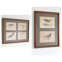 Victorian Lithograph Prints, Birds, Francis Orpen Morris, Hand Coloured, Antique - £97.72 GBP