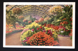 Interior Garfield Park Conservatory Chicago Unposted Vtg PC Flowers Garden - £3.93 GBP