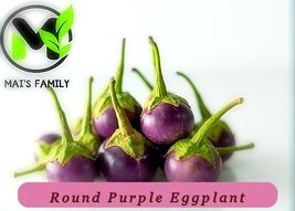 5442 round purple eggplant pop thumb200
