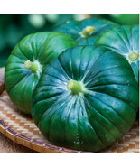 New Fresh Seeds Cupcake Squash - $7.90