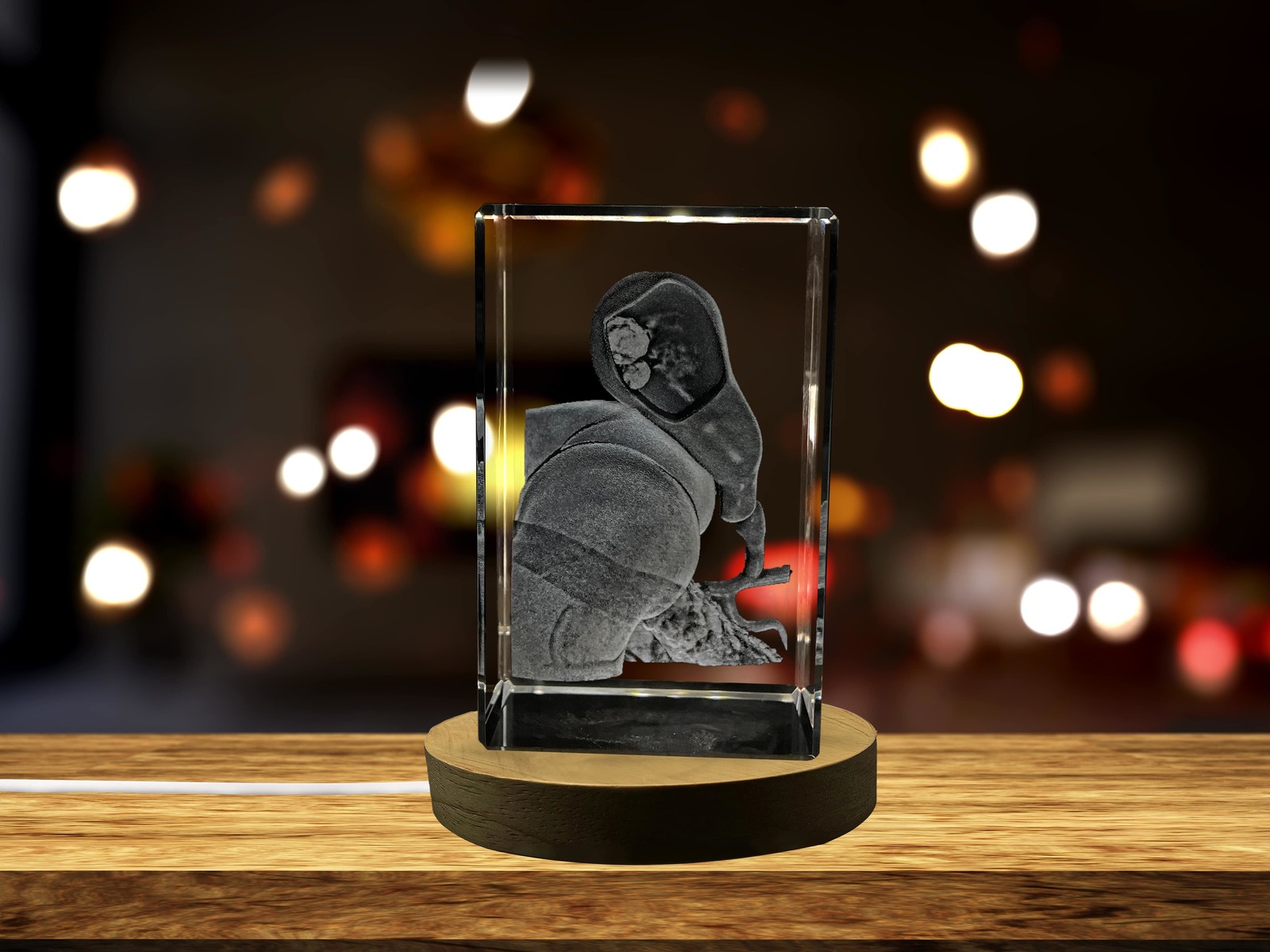 LED Base included | Veins Art | 3D Engraved Crystal Keepsake | Gift/Decor
