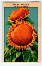 1920&#39;s Flower Seed Art Print SOLEIL SUNFLOWER Lithograph Original Vintage Unused - £8.52 GBP