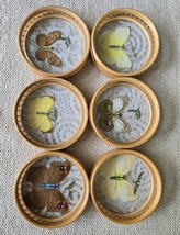 Pressed Butterfly Coasters Rattan Set Of 6 Bamboo Vintage - $17.81