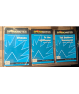 Lot of 10 SparkNotes Study Guides Classic Literature Ex-Library Good Con... - €7,72 EUR