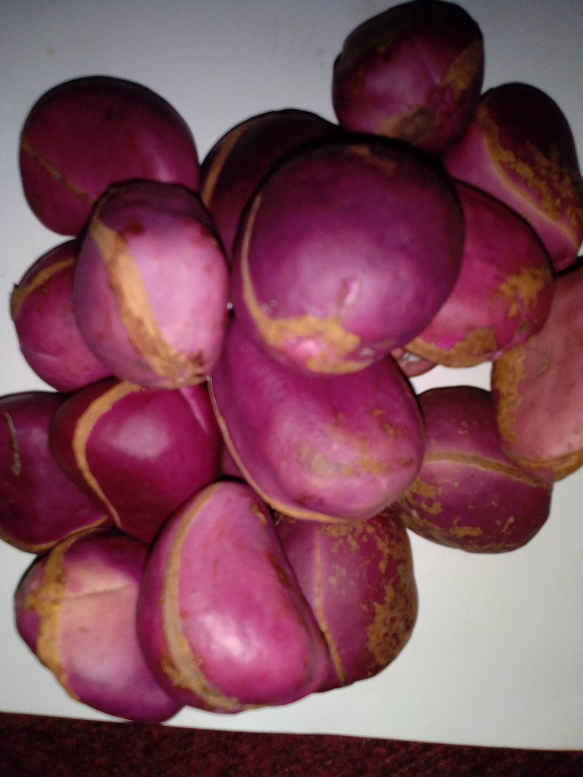 Red cola nut, Rubra(Cola nitida), 300g nuts cost(5 USD, shipping cost(10 USD), P Item image 5